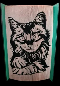 Cat, by Lisa Kerby, Inverted fold