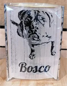 Bosco, by Nath Alie, Two Tone fold